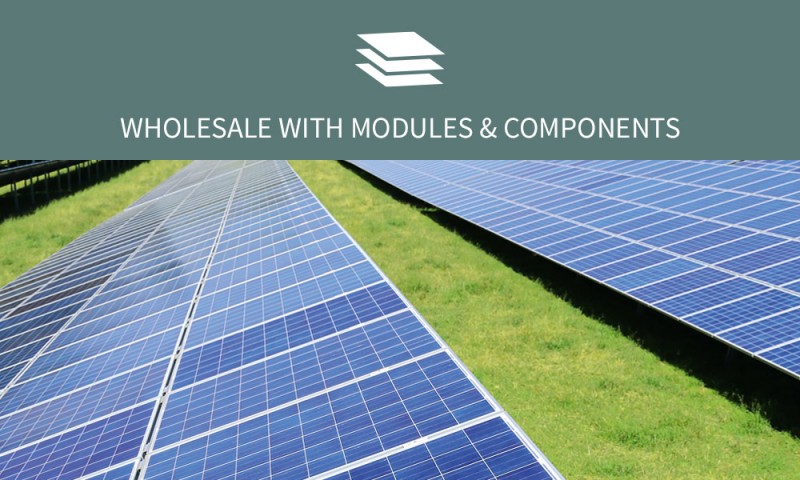 Business area wholesale of modules & components
